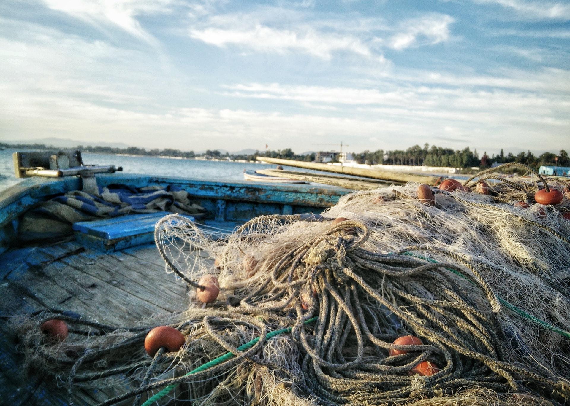 overfishing