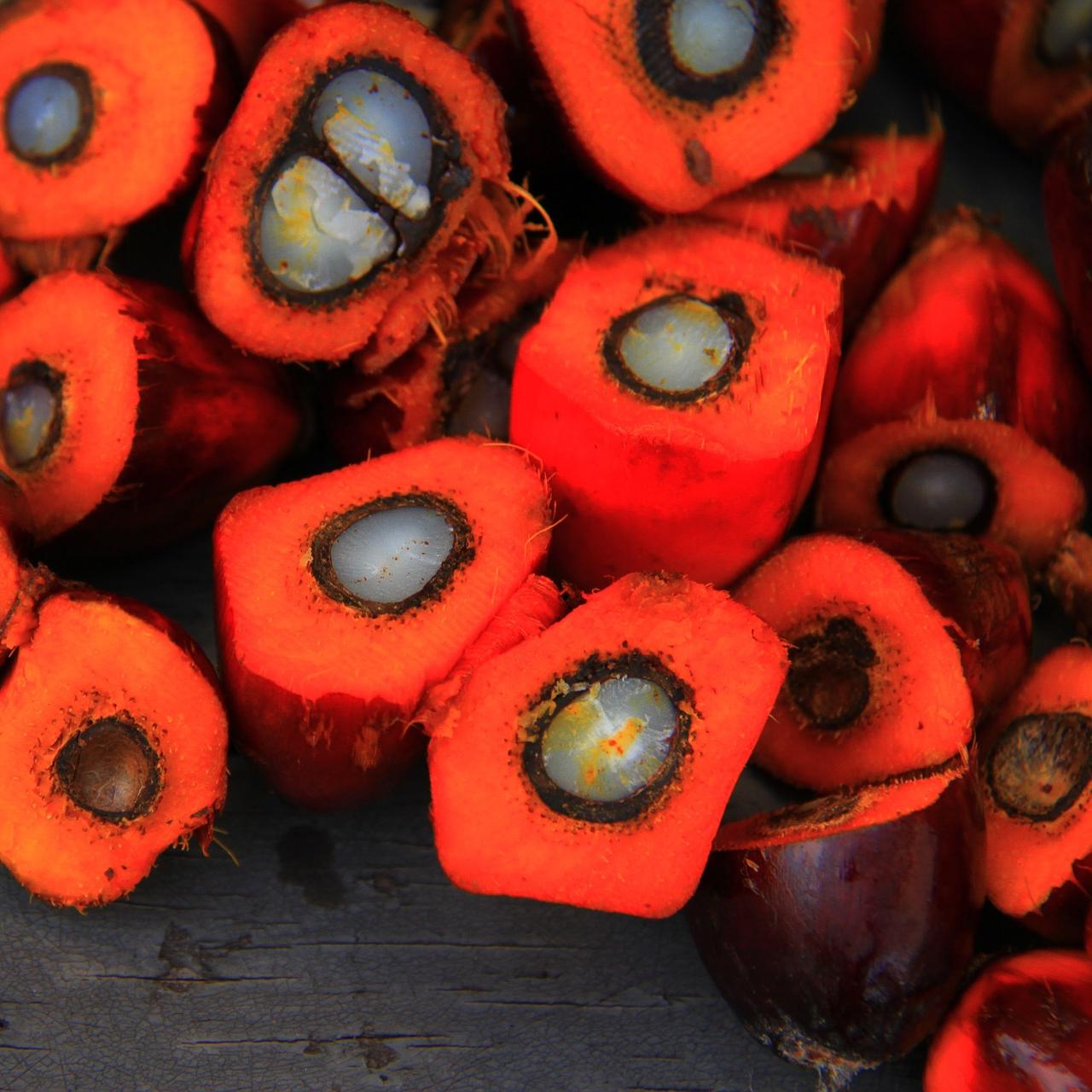 Palm Oil Sustainability