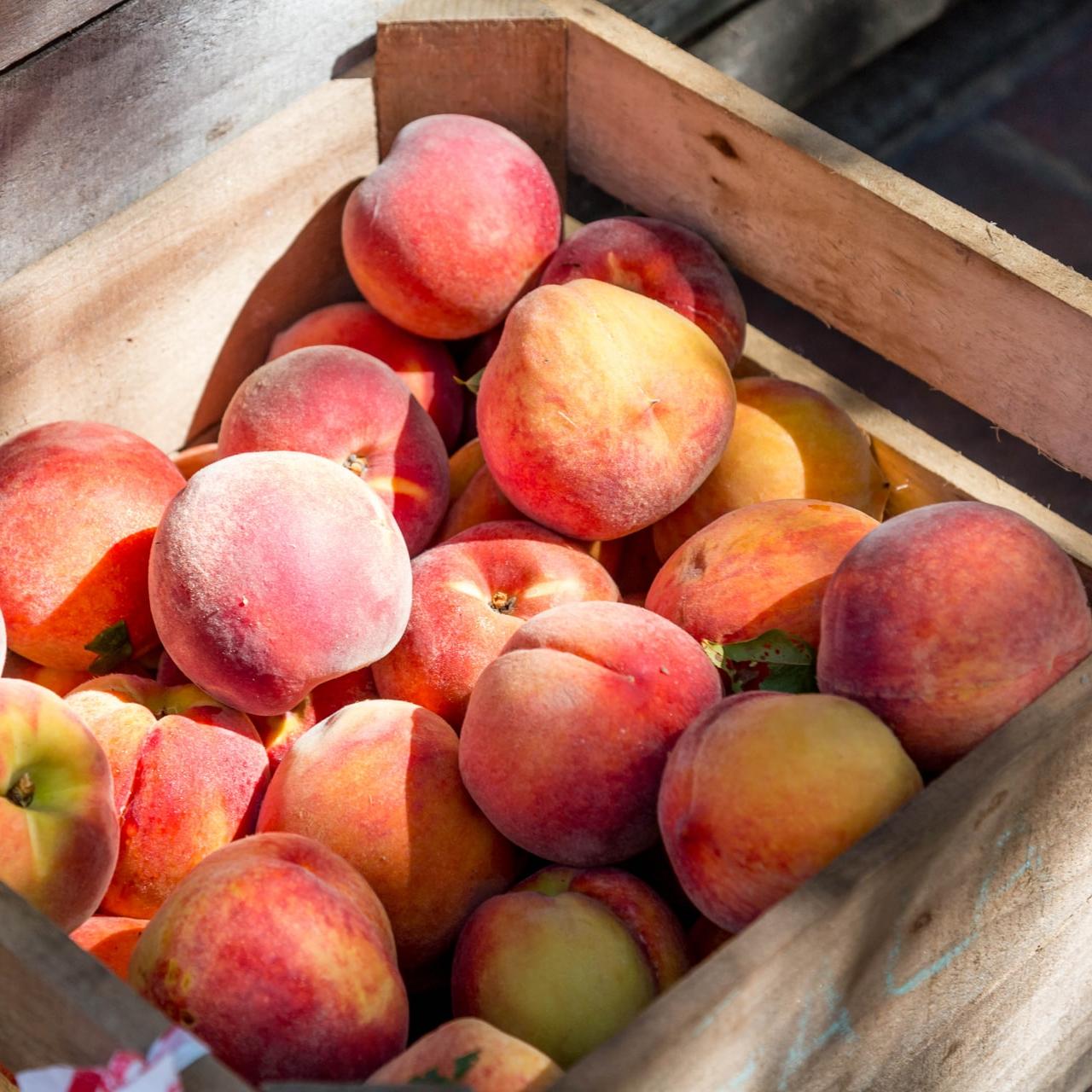 Food Supply Chain