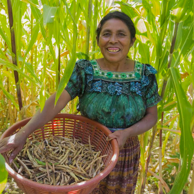 PepsiCo not only seeks to help farmers across its global supply chain become more sustainable, but the food and beverage giant is also striving to ensure women farmers find increased success in their work as well. 