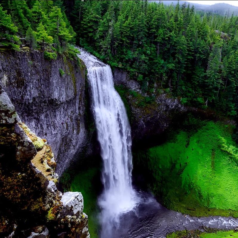 A waterfall in a forest. 