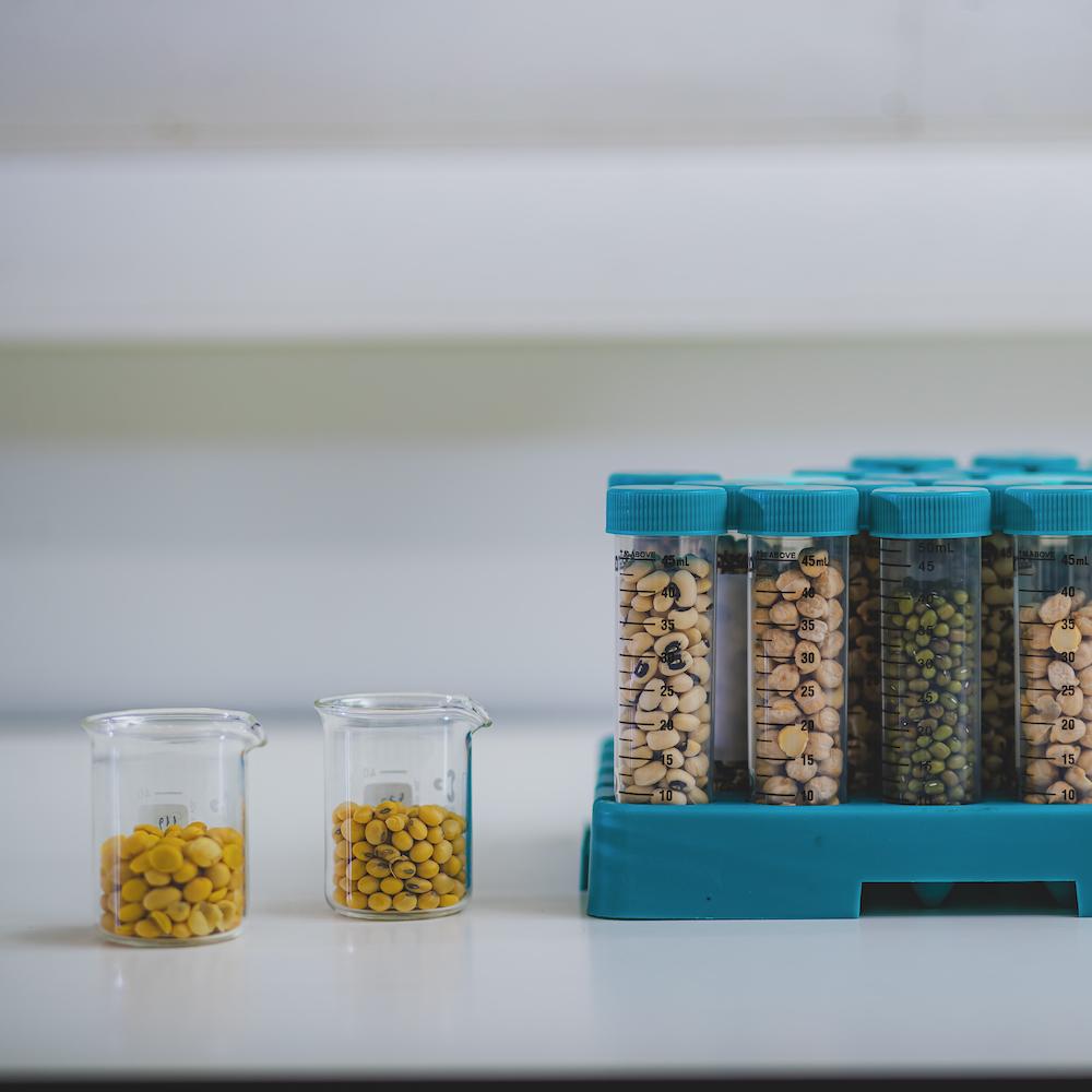 plant-based proteins development in lab
