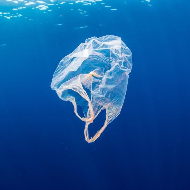 plastic bag floating in the ocean — new study links plastic bag bans to less plastic pollution on beaches