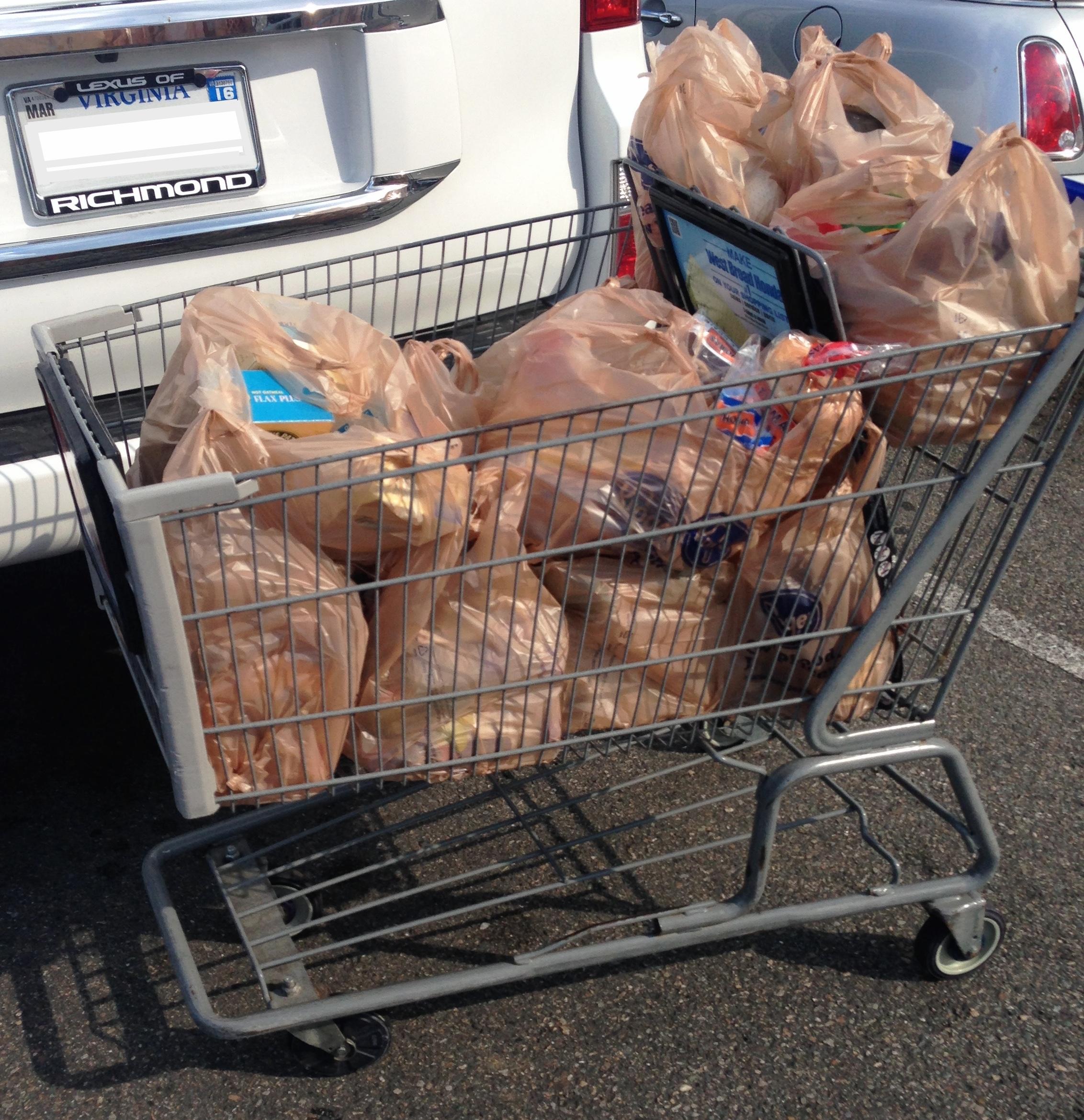 Plastic Bags