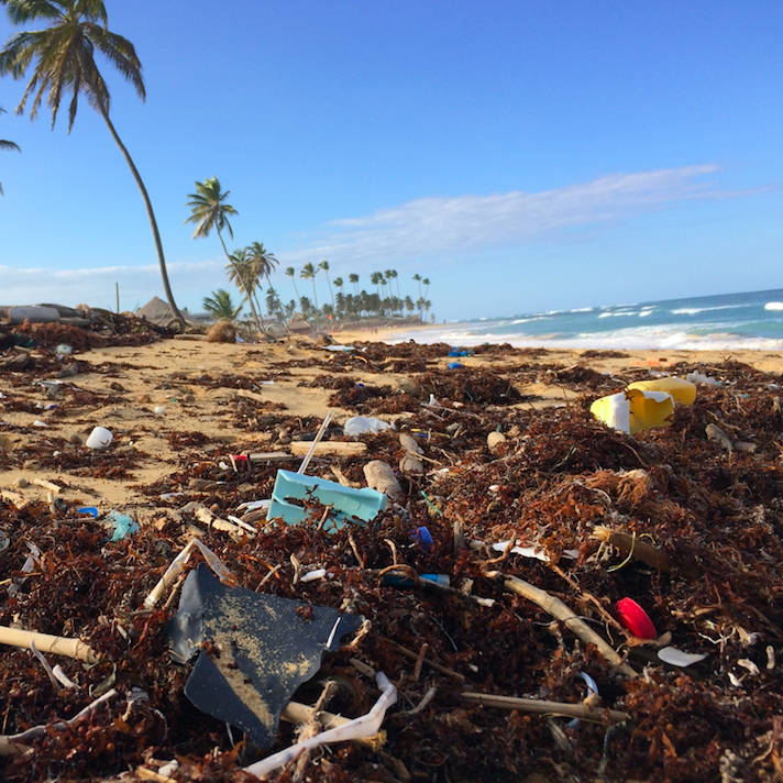 Ocean Plastics