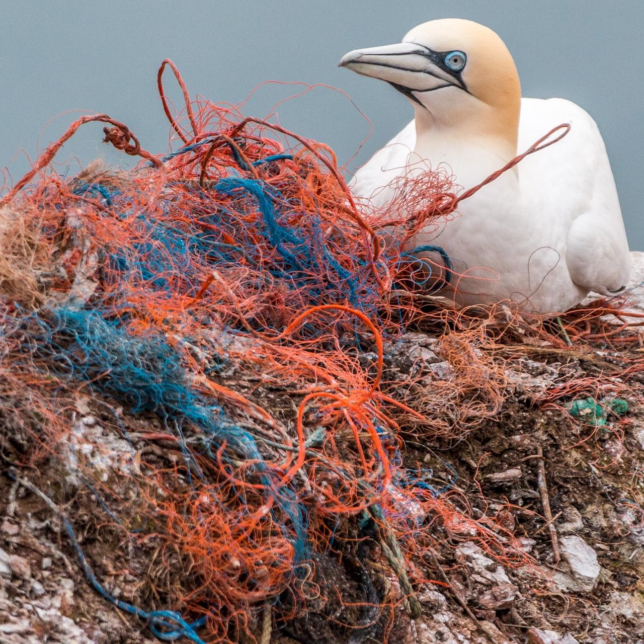 plastic waste
