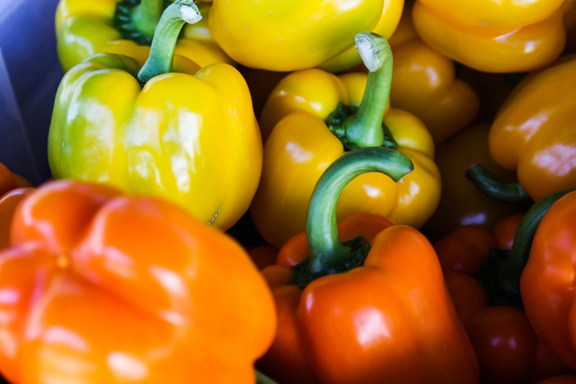 reduce food waste