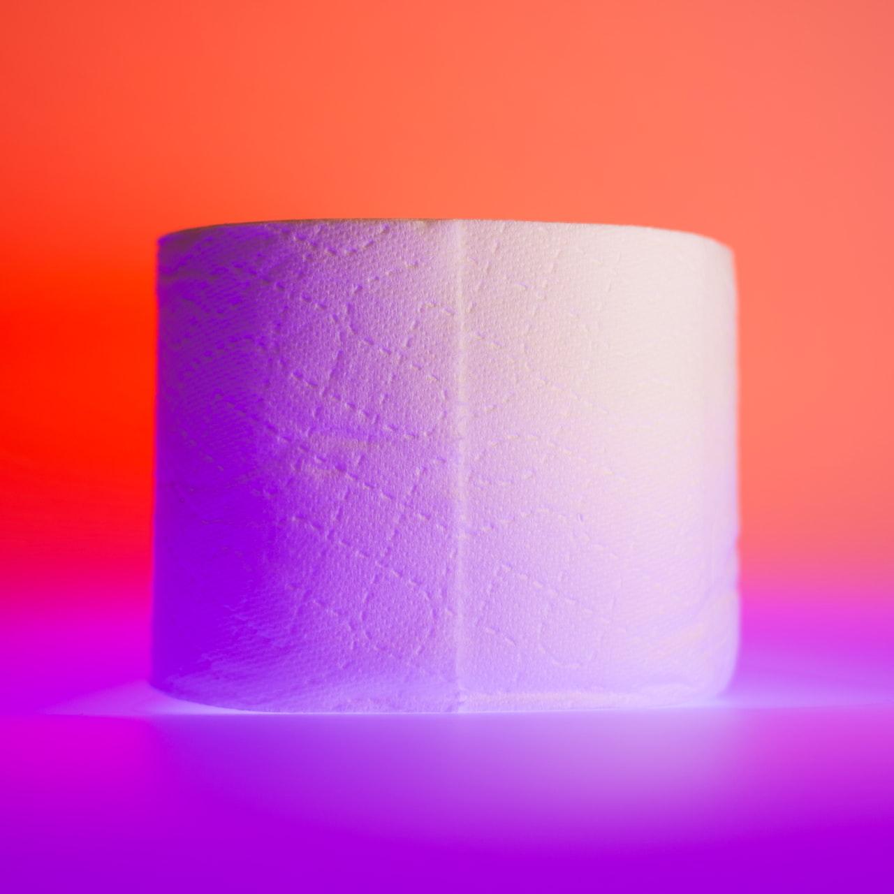 Recycled Toilet Paper