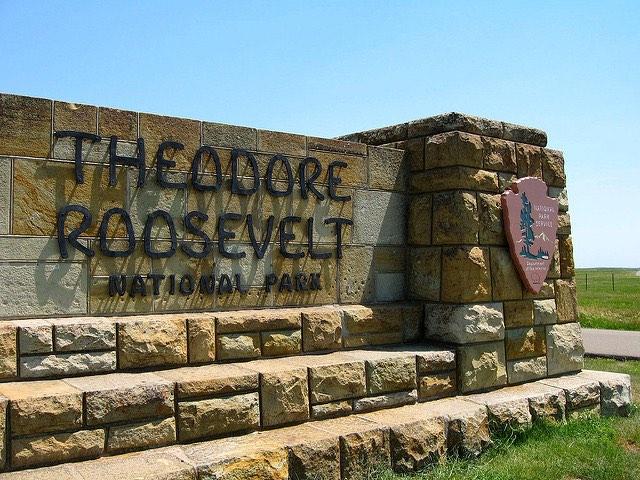 remeber-teddy-roosevelt.jpg