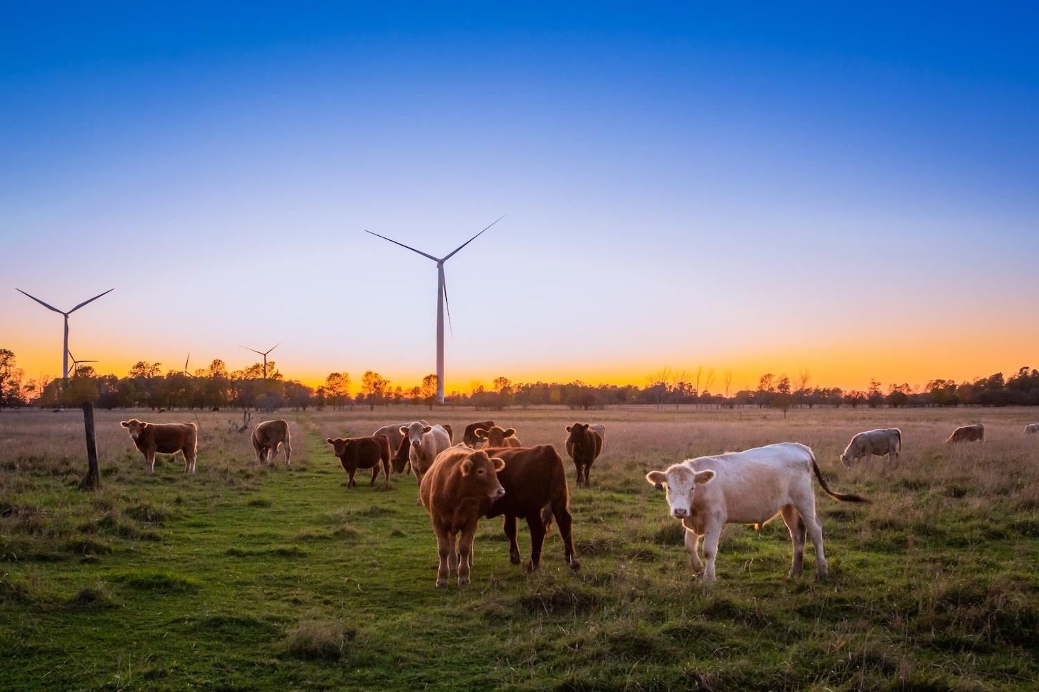 renewable energy on a farm