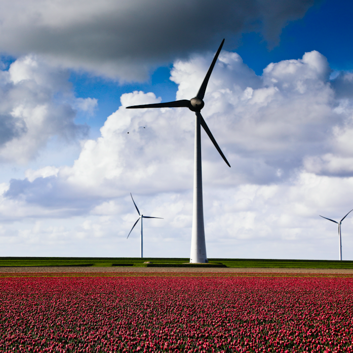Renewable Energy