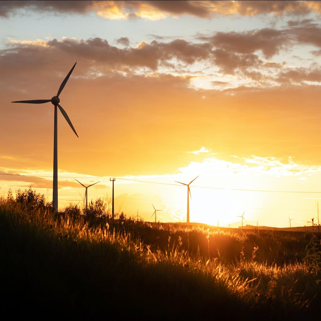 renewables