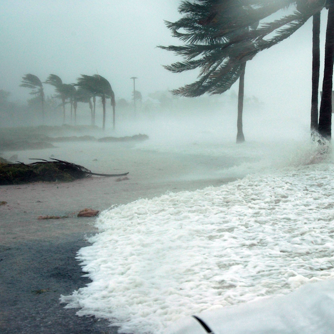 The economic cost of climate change will only worsen if we make no changes to our current carbon emissions trajectory and do not plan for long-term resilience accordingly.