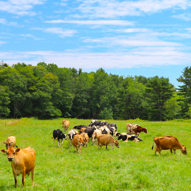 sustainable land management