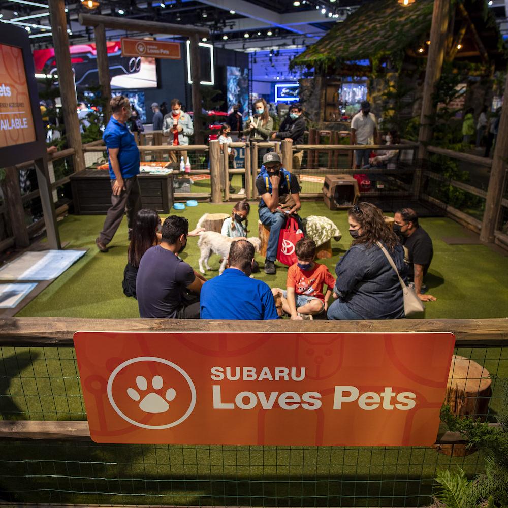 subaru dog adoption booth at auto show
