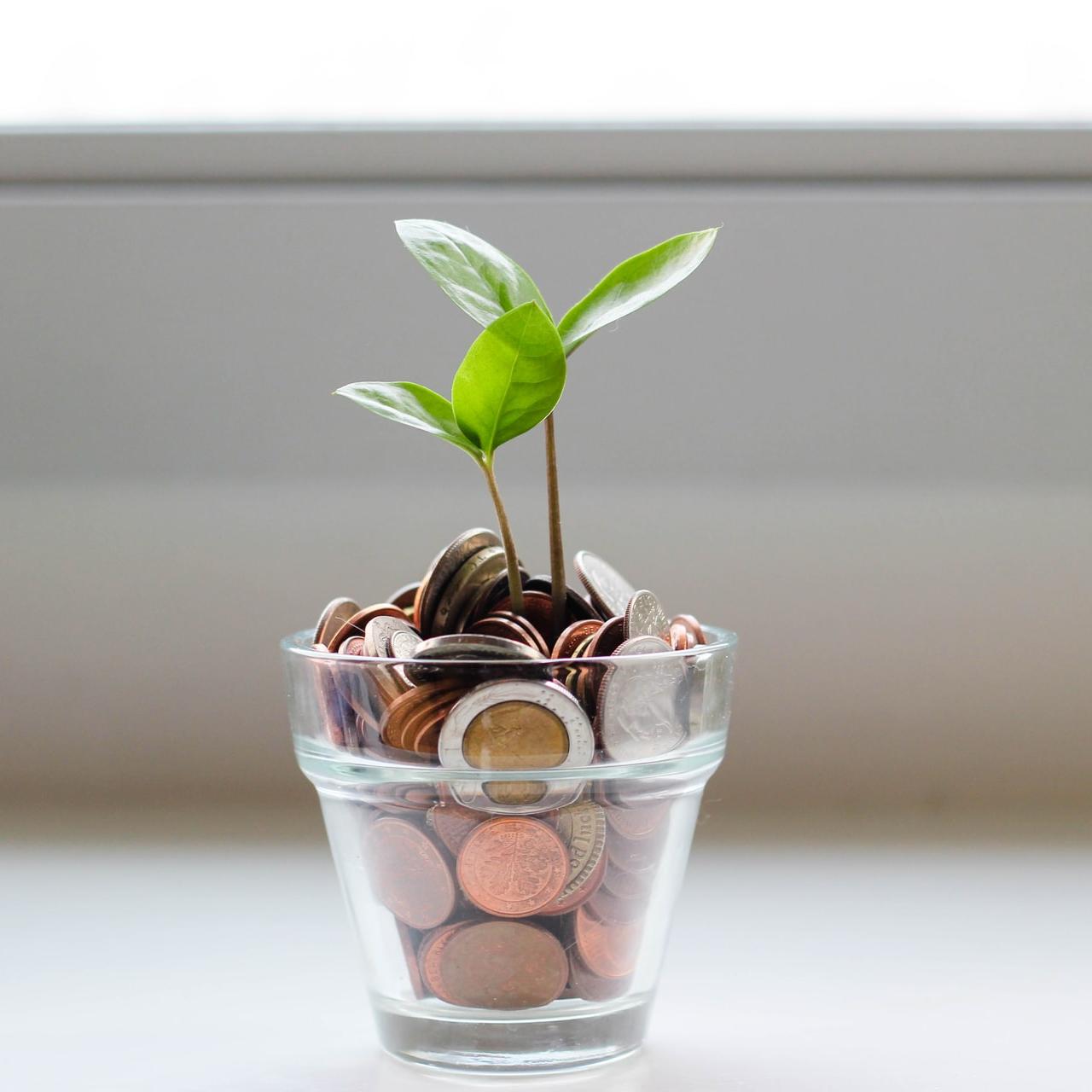Sustainable Investing