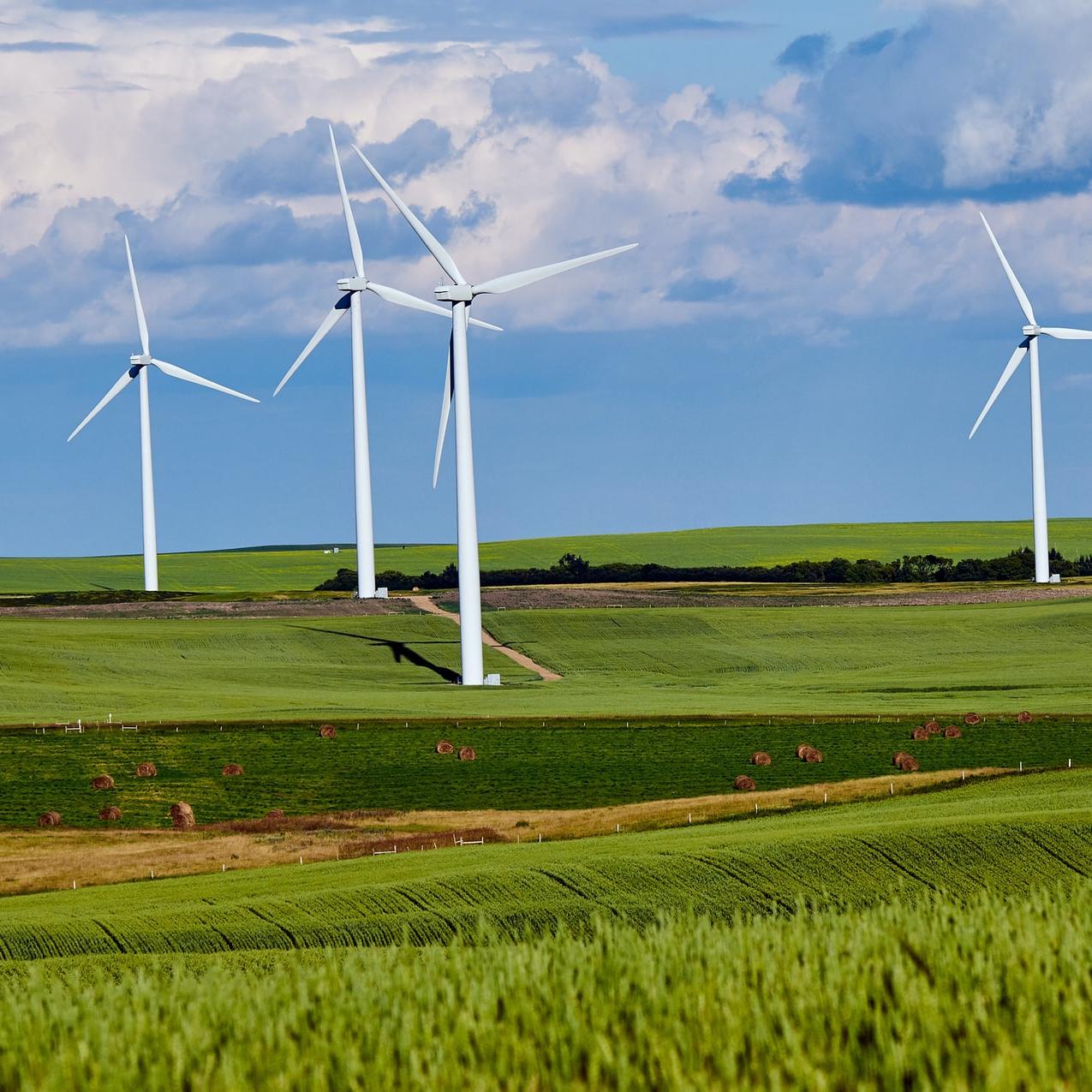 Renewables