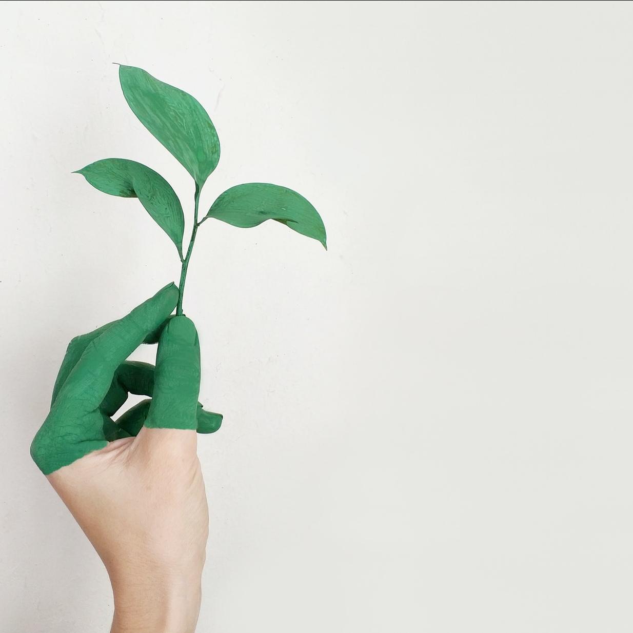 Greenwashing