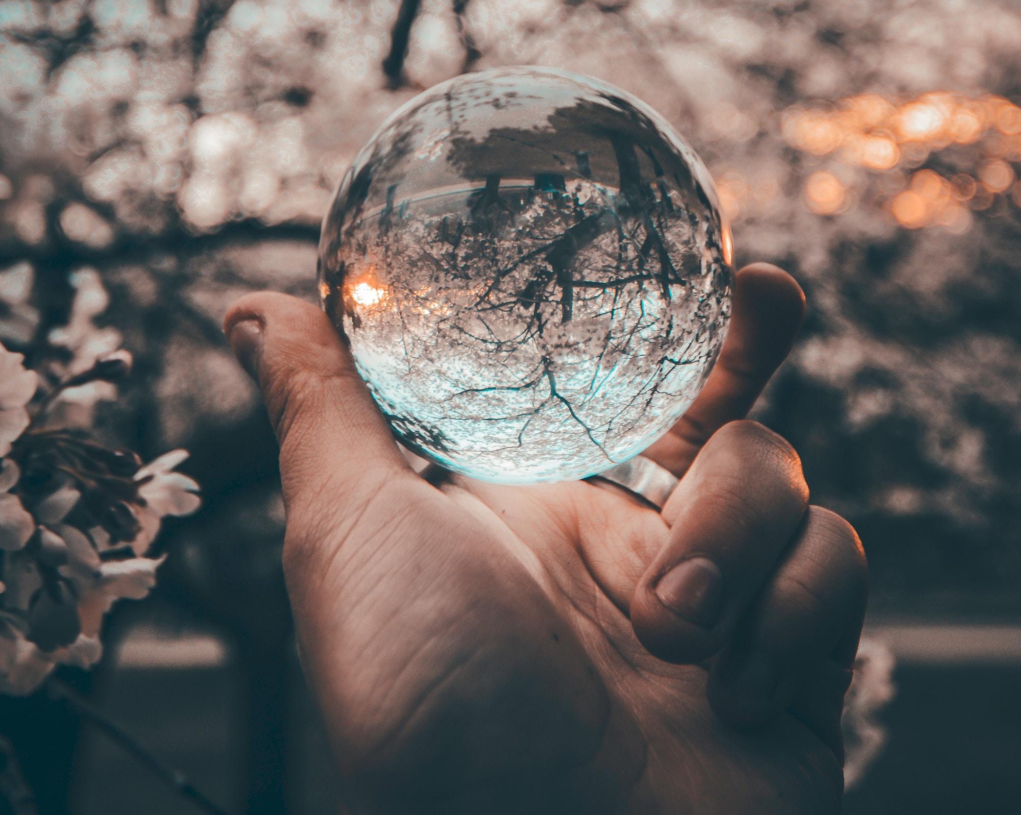 transparency and consumer trust