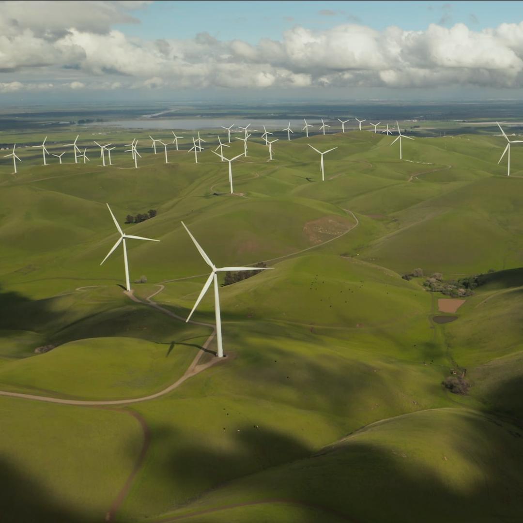 sustainability
