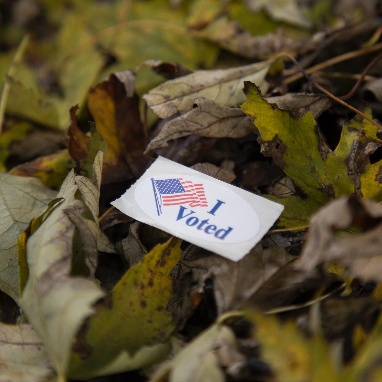 Voting Rights