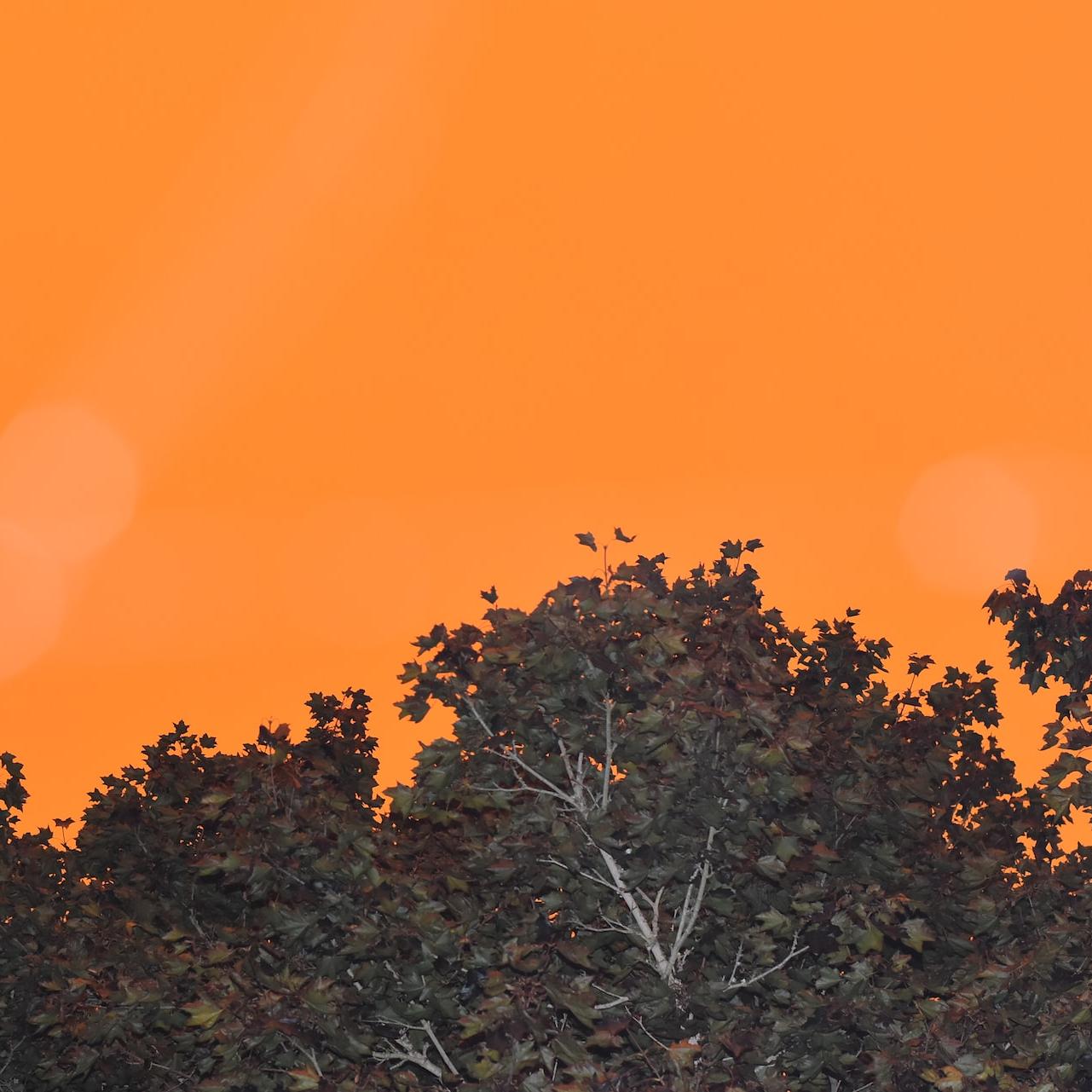 Wildfire Prevention