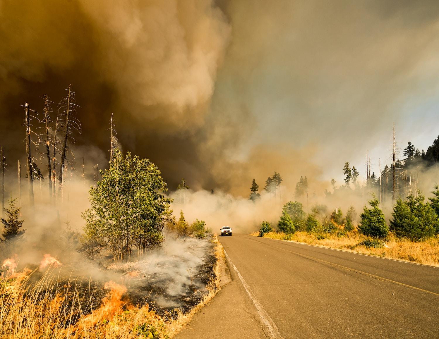 truck driving through wildfires