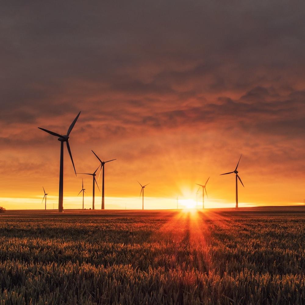 wind farm at sunset - taking action on climate change