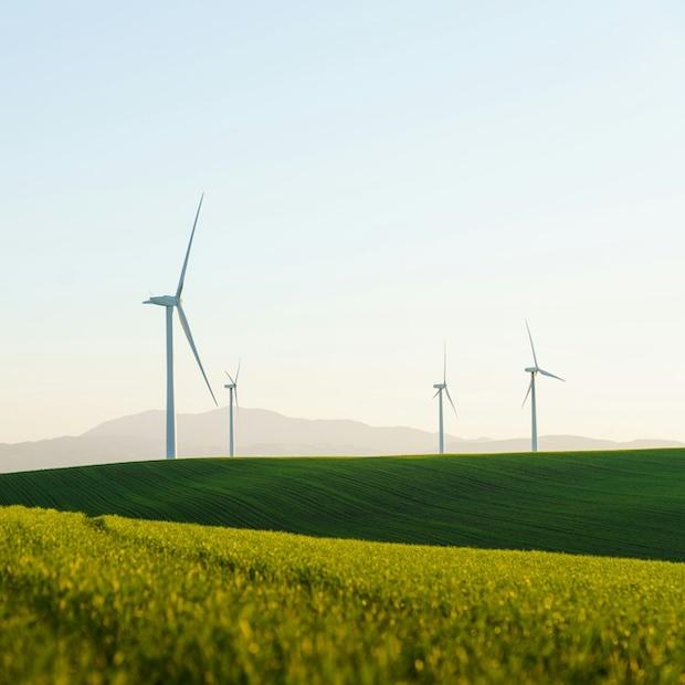 wind farm in the country