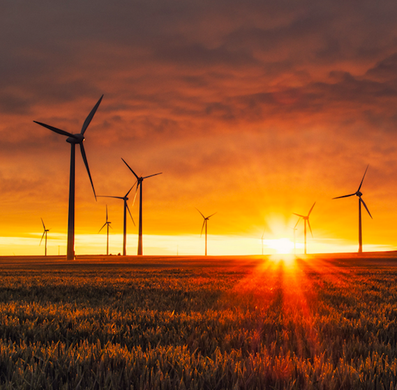 Wind power is just one technology that could scale up if this renewables aggregation model gains traction.