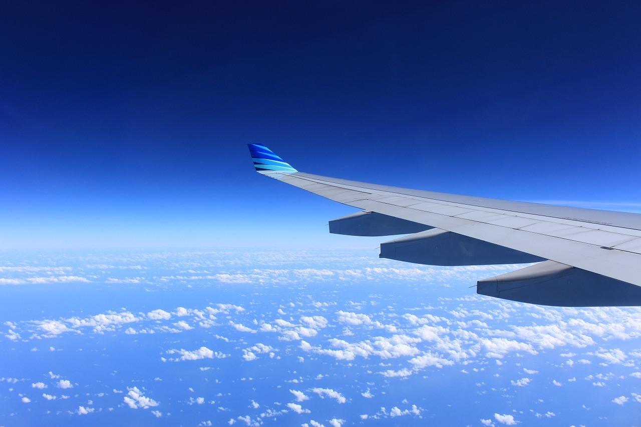 wing-221526_1280-1.jpg