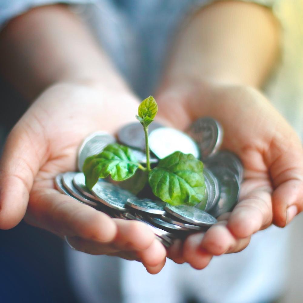woman holding coins with plant growing out - sustainable finance - sustainability - green bonds