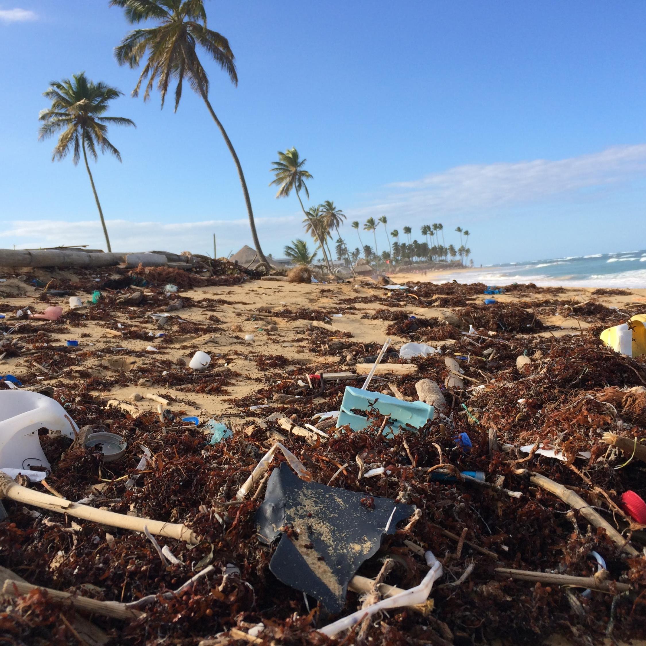 World Oceans Day