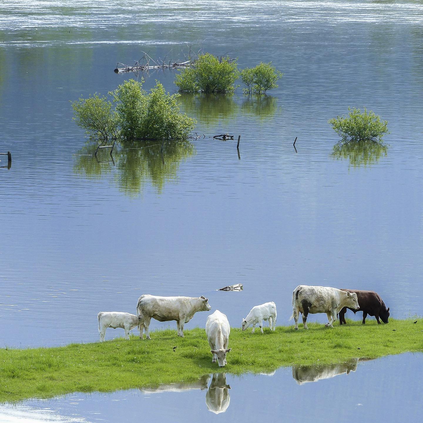 World Water Day