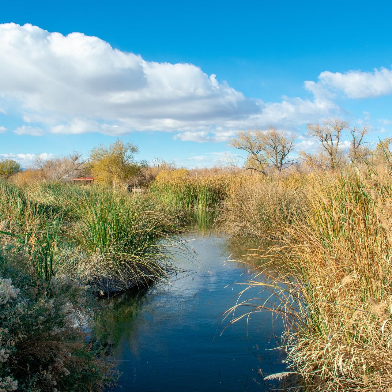 Natural Infrastructure