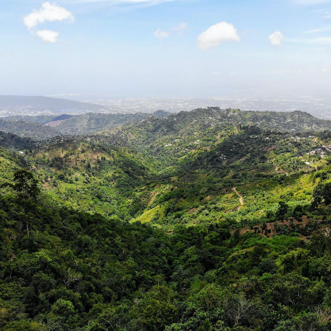 The Blue Mountains mountain range in Jamaica. 