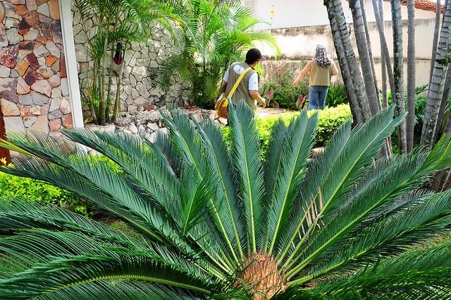 zika_control_larvicide_agenciaBrasilia.jpg